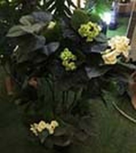 Искусственные растения Гортензия кремовая MK-7410-HW Темно-зеленый в Барабинске - barabinsk.katalogmebeli.com | фото 2