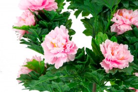 Искусственные растения Пион розовый MK-7411-HP Темно-зеленый в Барабинске - barabinsk.katalogmebeli.com | фото 2