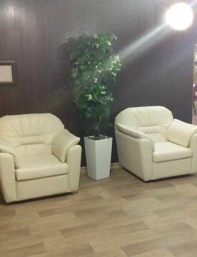Кресло Премьер в Барабинске - barabinsk.katalogmebeli.com | фото 5
