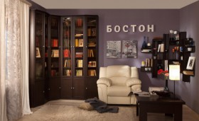Шкаф для книг завершающий 34 Бостон в Барабинске - barabinsk.katalogmebeli.com | фото 2